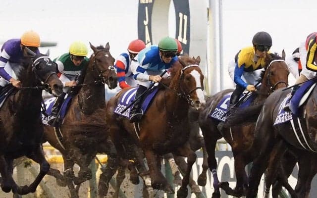 【ジャパンC】スミヨン「どうコメントしたら良いのか難しい」シュヴァルグランは見どころなく敗退