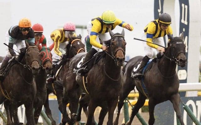 【ウェルカムS】岩田望騎乗ヴァンドギャルドが差し切りV！