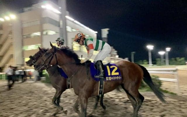 【チャンピオンズC】登録馬と見どころ クリソベリルなど