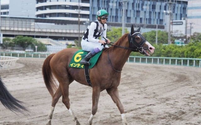 【武豊日記】年間100勝到達
