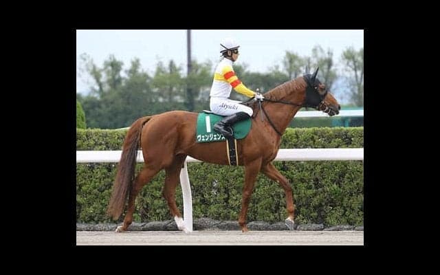 チャンピオンズＣは「中京ダート最強配合」の遅咲き馬が重賞連覇か