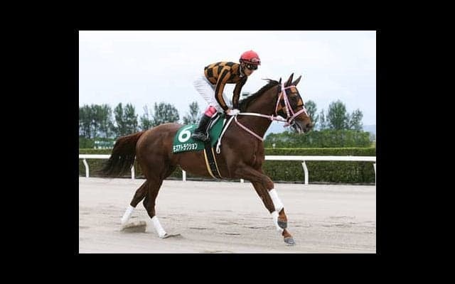 チャンピオンズＣは外国人起用で必勝期す馬の対比にいる４頭が面白い