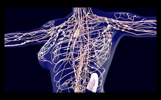 なぜリンパの流れを良くすると身体にいいのか知っていますか？