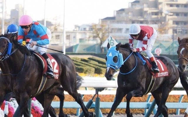 【ステイヤーズS】デムーロ「瞬発力が必要な馬場」オジュウチョウサン見せ場十分の6着