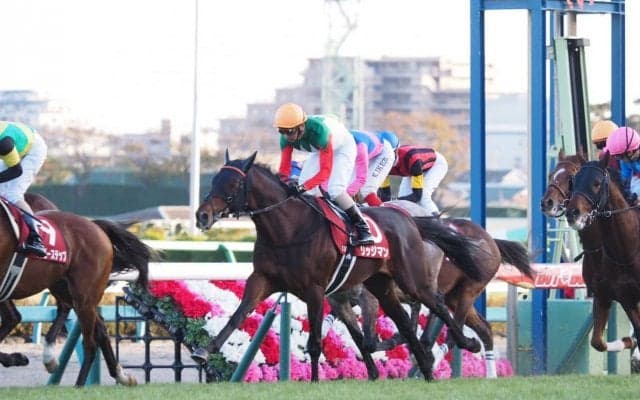 【ステイヤーズS】蛯名「去年に比べると速い」昨年の覇者リッジマンは11着大敗