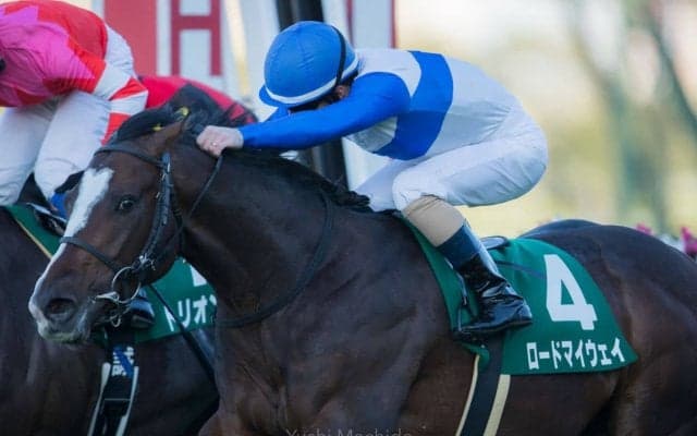 【チャレンジC】ルメール「最後は一生懸命」ロードマイウェイが5連勝で重賞制覇！