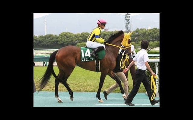 マルセリーナの子、ヒートオンビートは放牧を経て「よくなってきた」