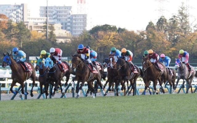 【ステイヤーズS】オジュウ6着！デムーロ「最後は疲れてしまった」レース後ジョッキーコメント