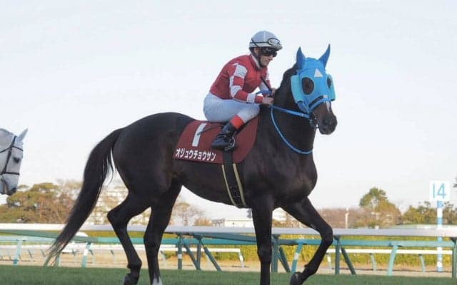 【ステイヤーズS】売り上げ前年比大幅増！オジュウチョウサン参戦