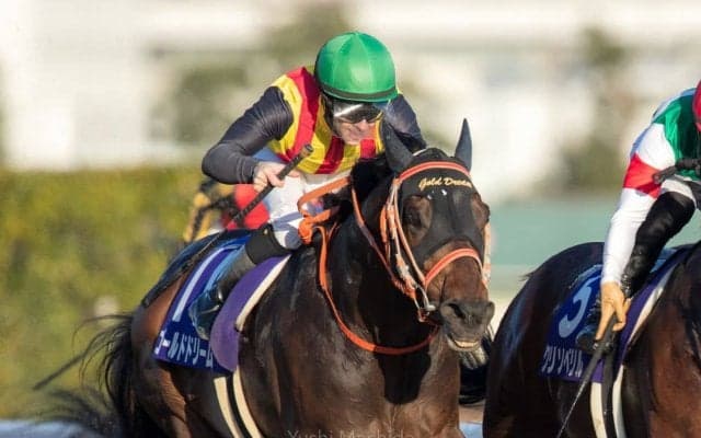【チャンピオンズC】ルメール「勝ち馬が強かった」ゴールドドリームは惜しい2着