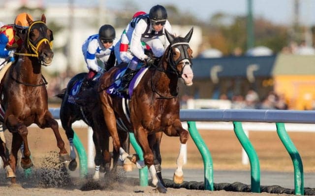 【チャンピオンズC】武豊「直線で突き離したかったのですが…」レース後ジョッキーコメント