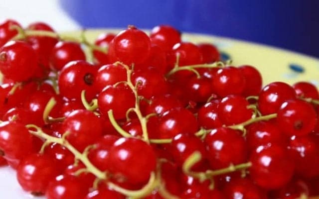 クランベリーの驚くべき効果効能