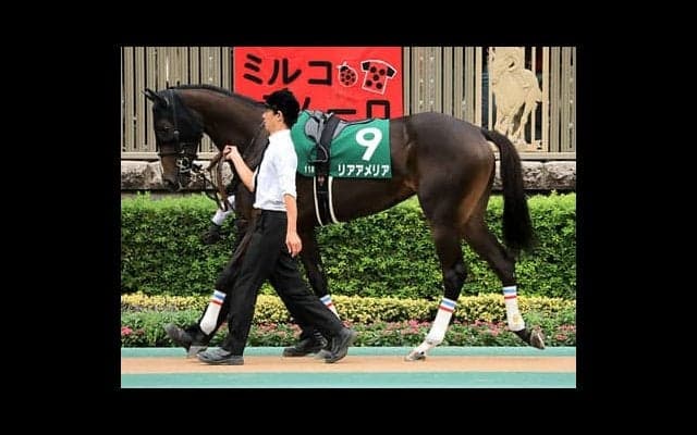 阪神ＪＦは「スター候補」が本命。良血馬が強いレースで血統も万全だ