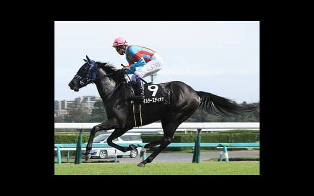 阪神JFはそろそろ荒れる。過去の激走３パターンから導いた穴馬３頭