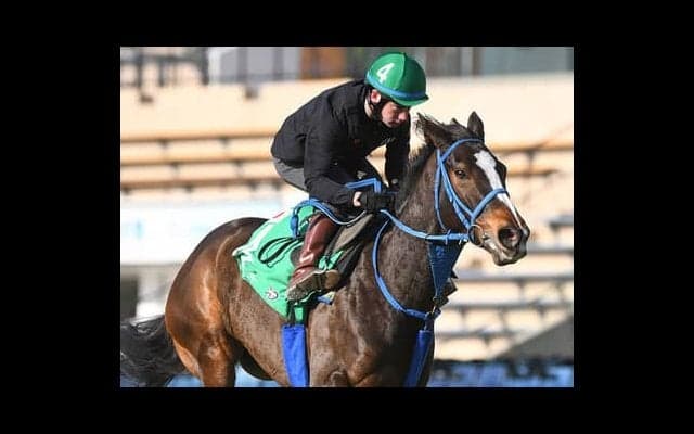 香港のＧⅠ４レースに９頭の日本馬が参戦。その状態と本命・穴馬は？
