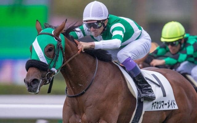 【武豊日記】来年も頑張ってくれそうです