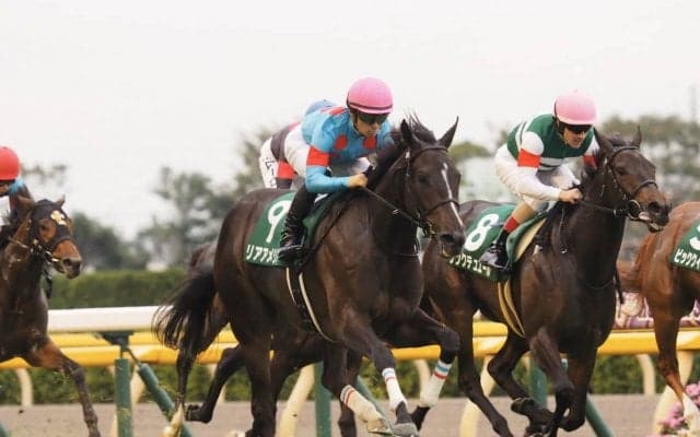 【阪神JF】枠順と見どころ リアアメリアは8枠15番