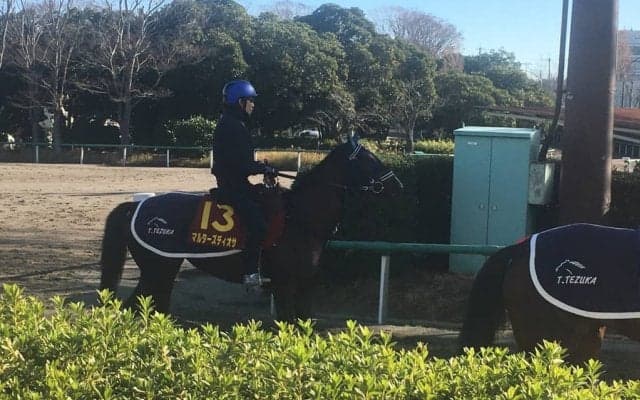 【阪神JF】マルターズディオサ 鋭い決め手が持ち味