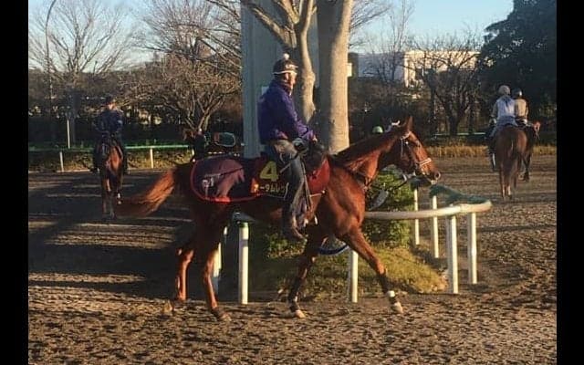 【阪神JF】オータムレッド 実績ある右回りで…