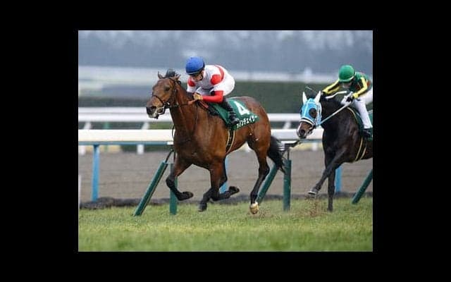 ダノンチェイサーの妹、アクニディは馬体重370㎏も「終いは伸びる」