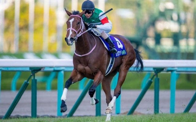 【阪神JF】レシステンシアが逃げ切り！リアアメリアは敗れる