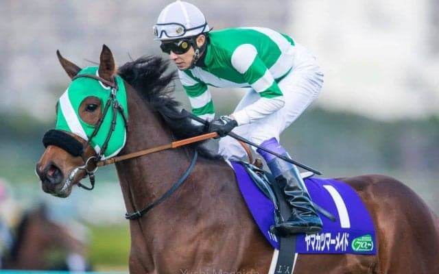 【阪神JF】武豊「状態すごく良かった」ヤマカツマーメイドは5着