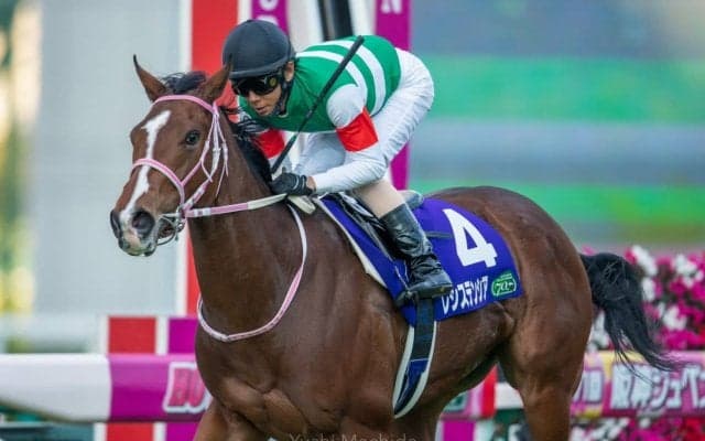 【阪神JF】北村友「結構なラップで行った」レシステンシアが無傷の3連勝！