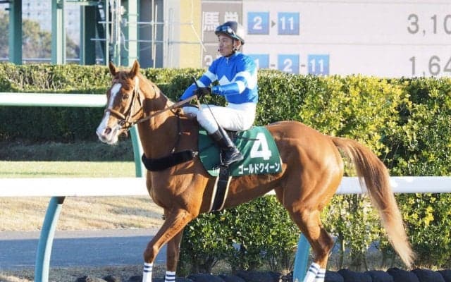 【カペラS】古川「行きっぷりが…」ゴールドクイーンは直線失速5着