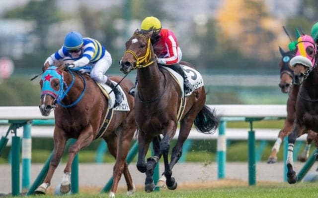 【新馬/阪神5R】アメリカンシードがデビューV！2番手から抜け出して快勝