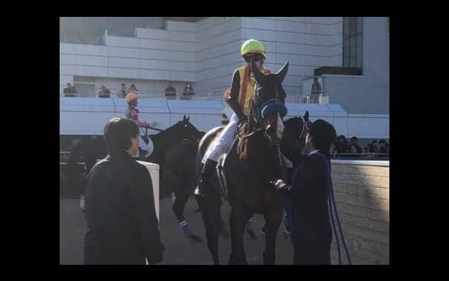 日曜中山６Ｒ新馬は石橋騎乗のミュアウッズが逃げ切り圧勝