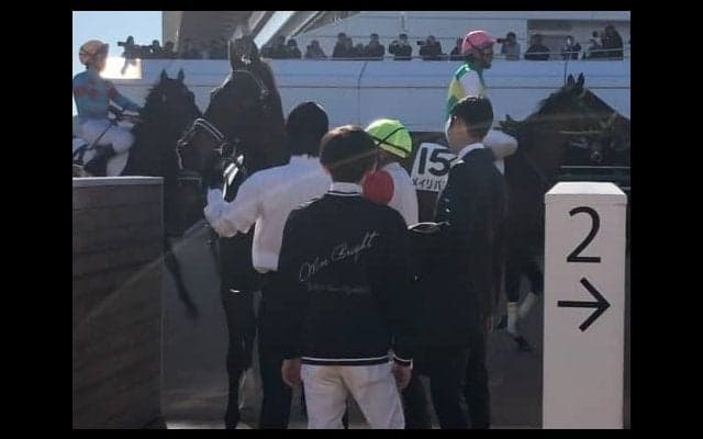 日曜中山５Ｒ新馬はインターミッションが1番人気にこたえる