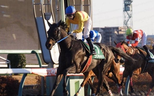 【カペラS】前年比増！藤田菜七子が女性騎手初のJRA平地重賞制覇！