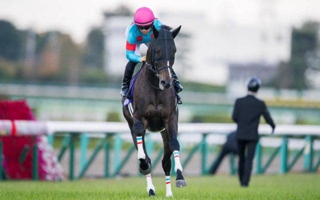 【阪神JF】川田「敗因をこれから探したい」レース後ジョッキーコメント