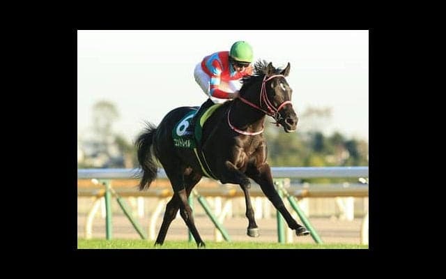 注目の２歳牡馬ランキング。ディープインパクトの後継がついに登場か