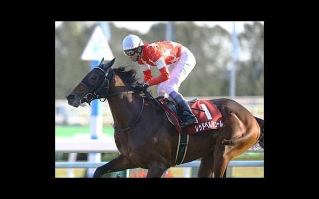 朝日杯フューチュリティＳは血統に注目。「今が旬」の良血馬が２頭いる