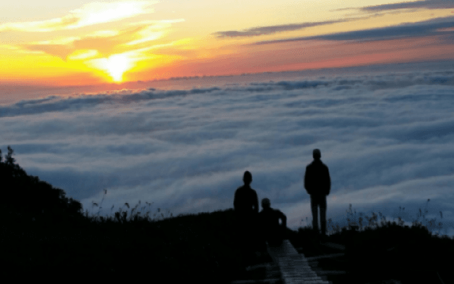 【今後の日程】アメフト甲子園ボウル、スケート、レスリング全日本、ワンゲル冬合宿ほか