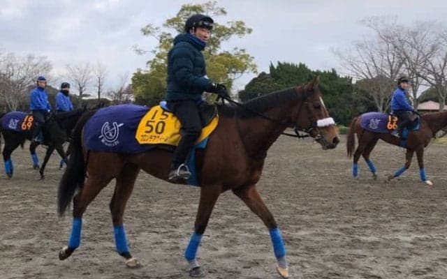 【ターコイズS】フロンテアクイーン 重賞Vと同じ舞台で3度目の正直