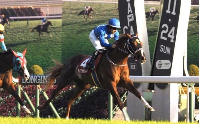 【朝日杯FS】枠順と見どころ 武豊タイセイビジョンは4枠8番