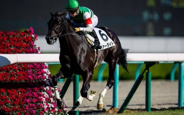 【新馬/阪神5R】超良血馬のヴァーダイトがデビューV！