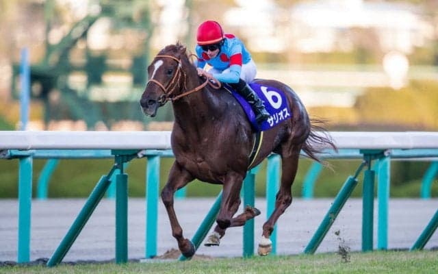 【朝日杯FS】武豊「勝った馬が強かった」レース後ジョッキーコメント