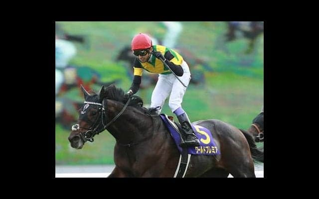 有馬記念は、人気落ちのＧＩ馬、菊花賞馬、グランプリ男で夢を見よ！