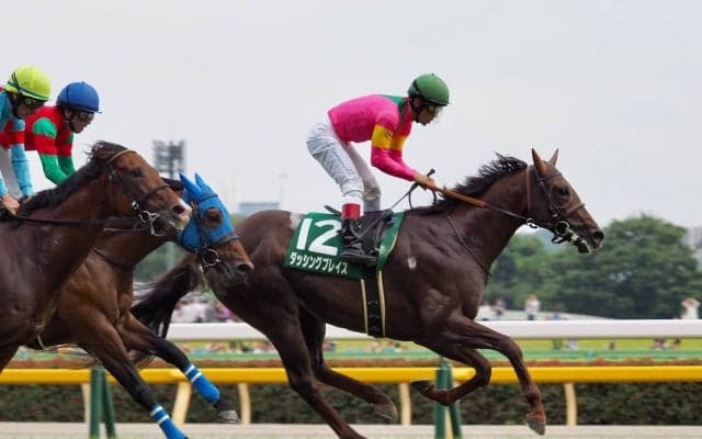 ダッシングブレイズ号が競走馬登録抹消