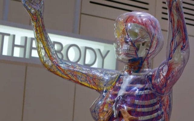 見えないカラダの大掃除ができるイーマサウンドとは？