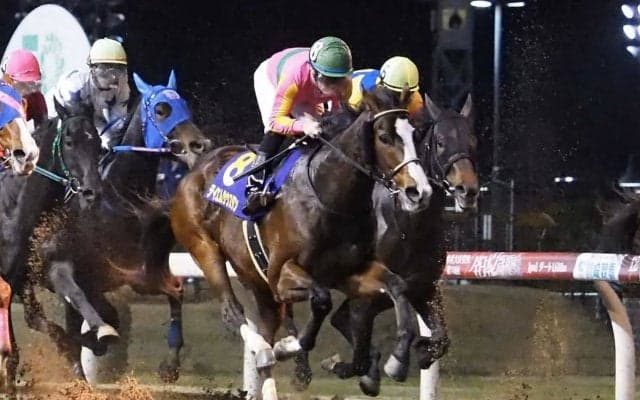 【全日本2歳優駿】デムーロ「手前を替えるのが…」テイエムサウスダンは伸び切れず5着