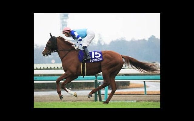 有馬記念はドラマティック。引退馬２頭か実力３歳馬が劇的結末を呼ぶ