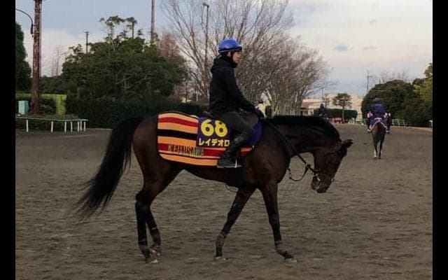 【有馬記念】レイデオロ 三浦との新コンビで大逆転狙う