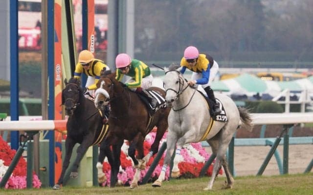 【グッドラックHC】ルメール×国枝師のボスジラが勝利！