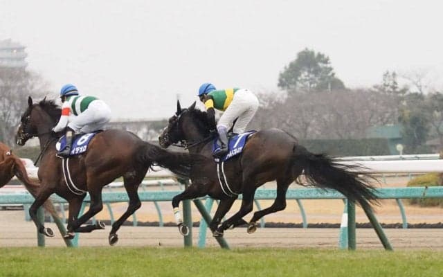 【有馬記念】武豊「来年が楽しみ」ワールドプレミアは3着