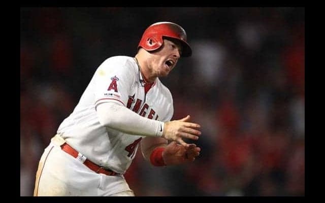 阪神が新助っ人5選手の背番号発表　ボーアは「41」、サンズは「52」