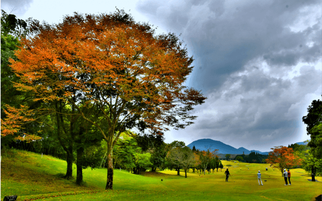 ノンゴルファー、サブスクリプションや初心者向けコースを重要視…ゴルフに関する調査